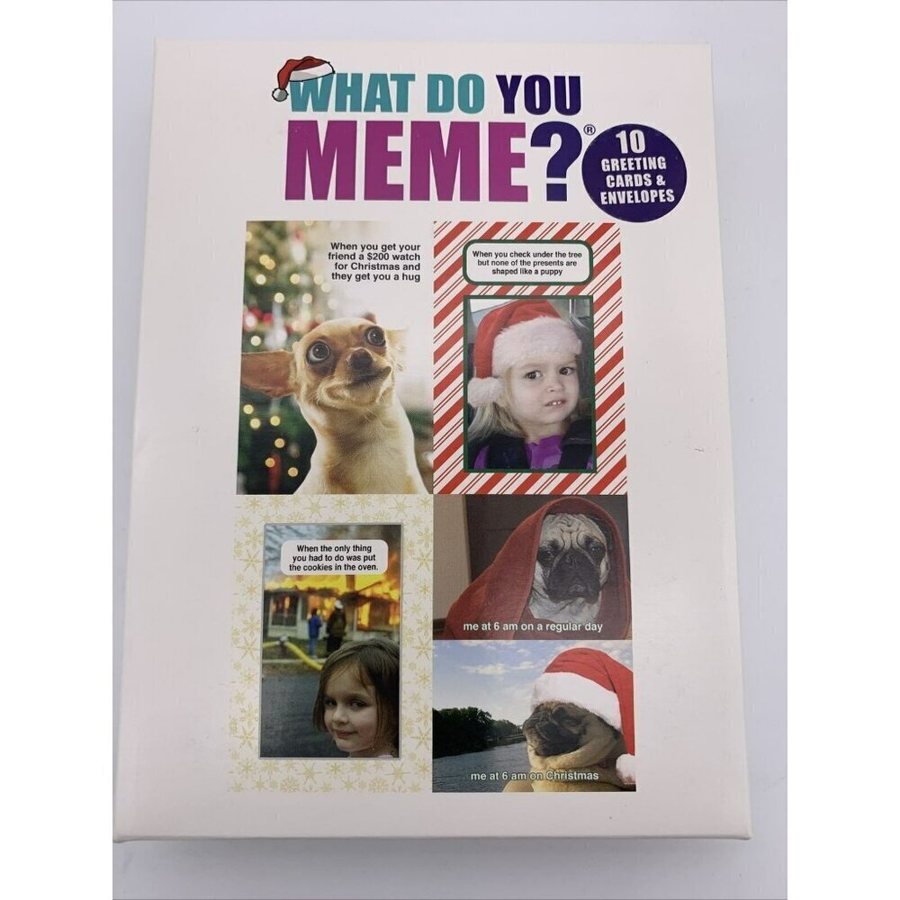 Christmas Cards Boxed “What Do You Meme?" 10 Greeting Cards & Envelopes